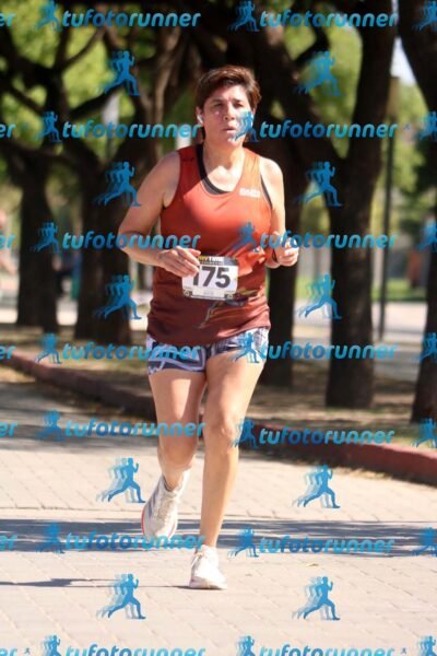 175- Maraton Montecristo